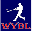 Williamsburg youth baseball league